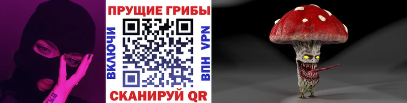 KRAKEN как войти Козловка Псилоцибиновые грибы прущие грибы как найти наркотики
